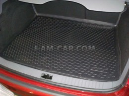     ()    (Ford Focus) UNIV   30  2005-