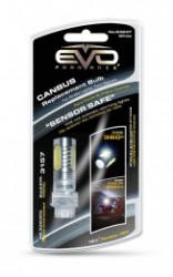 LED   EVO/6W/3157-/1  